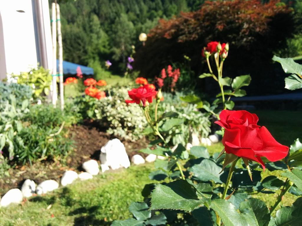 Villetta Val Di Sole Commezzadura Esterno foto