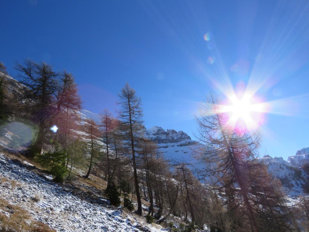 Villetta Val Di Sole Commezzadura Esterno foto